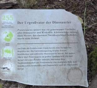 Dinosaurier Museum Altmühltal