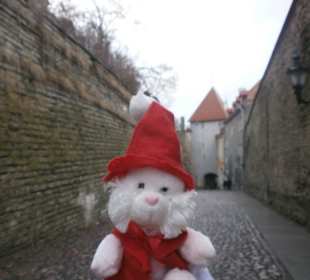 Жорик и Рождество в Таллине