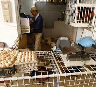 Die Tiere werden vor Ort geschlachtet