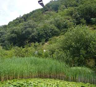 Matteo Thun'scher Gucker