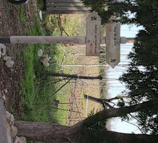 Startplatz an der Hauptstraße