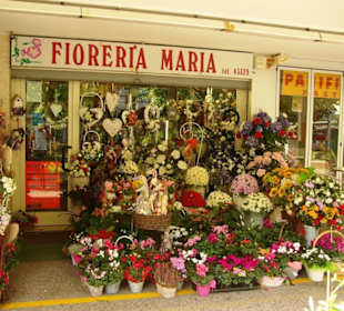 Geschäfte Bibi Restaurant 