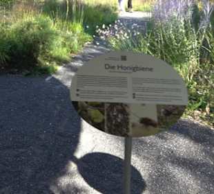 Botanischer Garten München