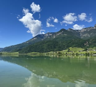 Ausblick