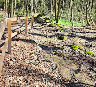 Der Weg bei der Rinne