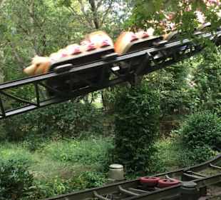 Rasende Tausendfüßler