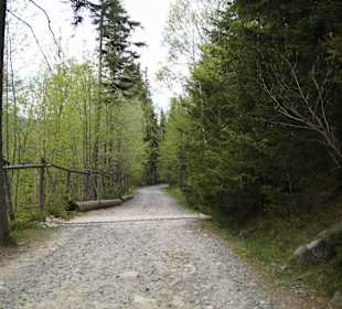 Berg Schneekoppe/Śnieżka