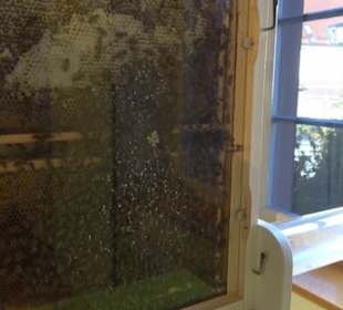 Museum Natur und Mensch