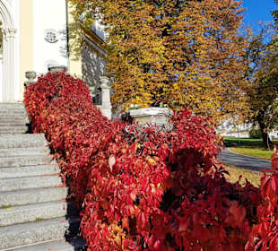 Jetzt tolle Farben am Eingang