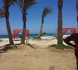 Abu Dabbab/Marsa Alam