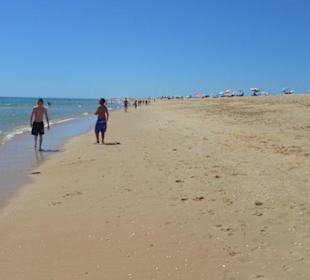 Ilha de Tavira