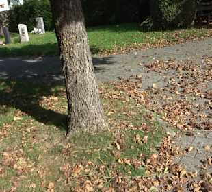 Friedhof Göttelfingen