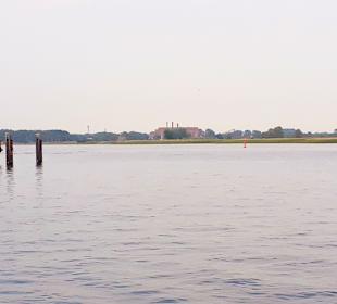 Apollo Tagestour zur Greifswalder Oie 