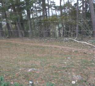 Erlebnisbauernhof und Wildgehege