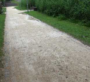 Baumlehrpfad Glacis Park