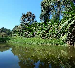 Tortuguero Kanal