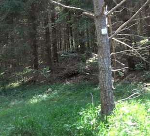 Wanderung Froschteich-Tour