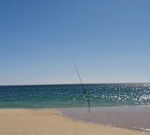 Strand Meia Praia