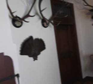 Appartement des Königs Wilhelm II.