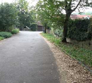 Altwege Rundwanderung Bebenhausen