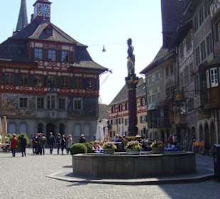 Фото ратуши и площади перед ней