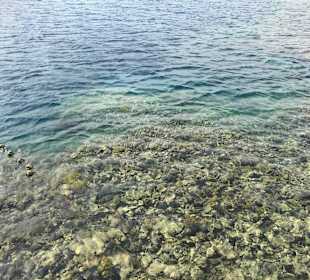 Korallenwelt vom Steg aus betrachtet