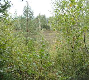 Auf der Kalorienrunde bei Inzell