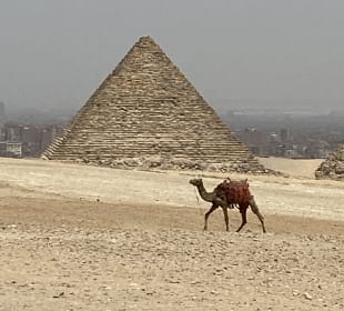 Bei den Pyramiden von Gizeh