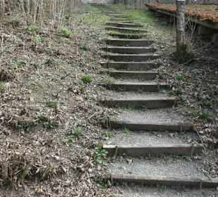 Eindrücke von unserer Wanderung Schalksbergweg