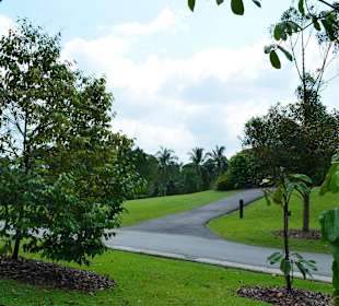 Botanischer Garten Singapur