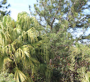 Tour durch den Süden