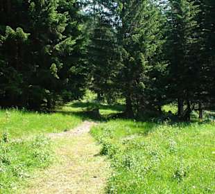 Wanderweg zum Kindergrillplatz