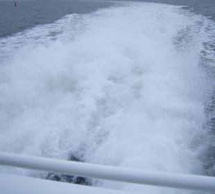 Adler Express