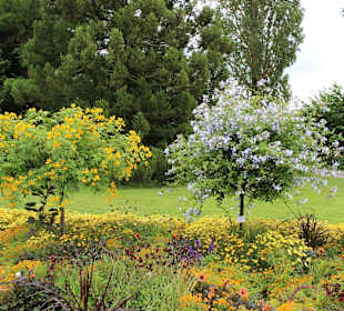 Mainau