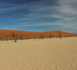 Dead Vlei