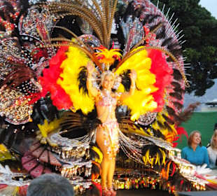 Corso 2013 Santa Cruz de Tenerife