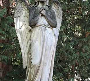 Rundgang über den Alten Friedhof in Bonn