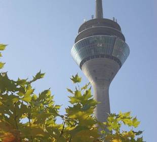 Rheinturm von Unten