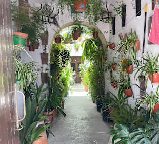 Stadtrundgang Conil de la Frontera