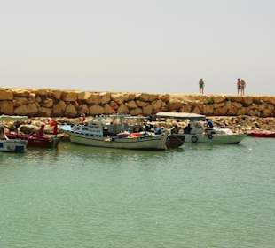 Am Hafen von Evrenseki Ende Mai