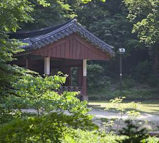 Secret Garden
