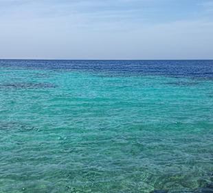 Korallenriff zwischen der Marina (rechts) und dem Nachbarhot