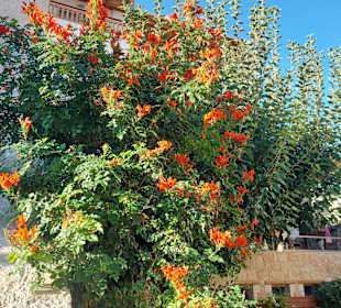 Inselrundfahrt Kreta