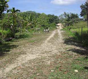 Der Feldweg zurück zum Ort und Betonstr.