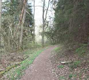 Vitus Mayer Waldlehrpfad