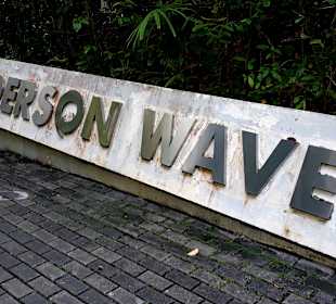 Henderson Waves Bridge