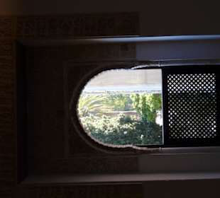 Dettaglio