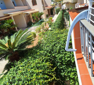 Gartenanlage Tropis Hotel
