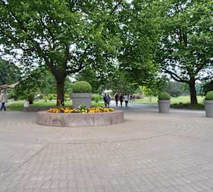 Rosenfest im Westfalenpark in Dortmund