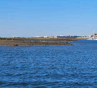 Bootstour Ria Formosa